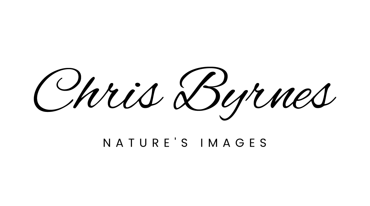 ChrisByrnes logo